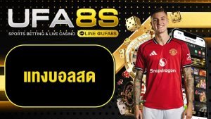 แทงบอลสด