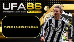 ราคาบอล 2.5-3