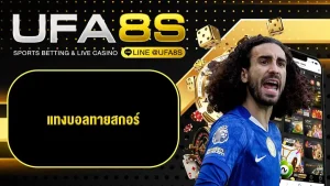 แทงบอลทายสกอร์